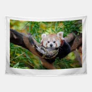 Red Panda Tapestry