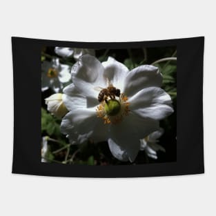 Endangered Bee on a White Rose Tapestry