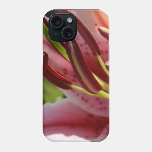 Beautiful photograph of lily flower Phone Case by Annalisseart24