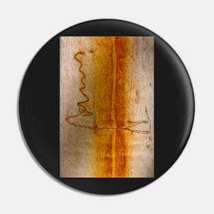 Scribbly Gum Bark Pin