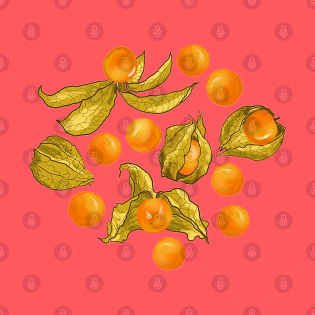 Physalis - Golden berries by kobyakov