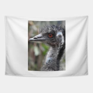 Emu Tapestry