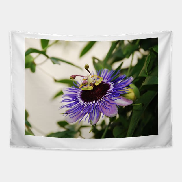 Purple Haze Passiflora Tapestry by jojobob