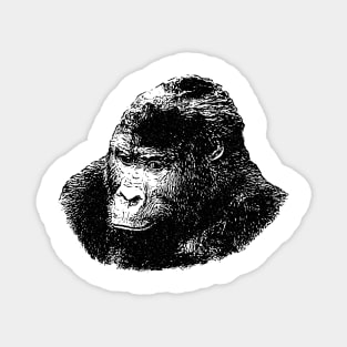 Gorilla portrait Magnet