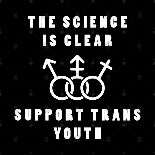 Support Trans Youth by lilmousepunk