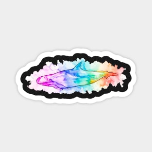 False Killer Whale rainbow watercolour Magnet