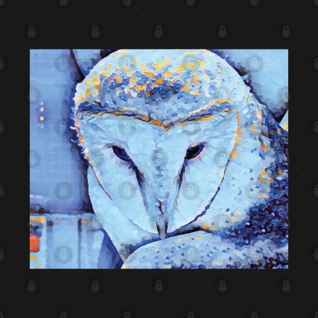 Ziggy the Barn Owl… by drumweaver