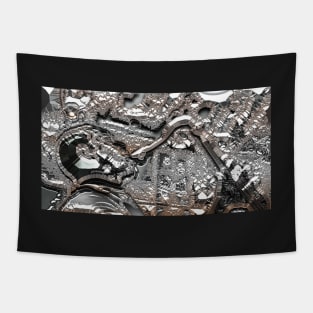 SILVER FOXXXX Tapestry