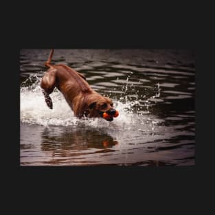 Rhodesian Ridgeback T-Shirt