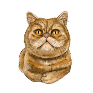 Exotic Shorthair cat T-Shirt