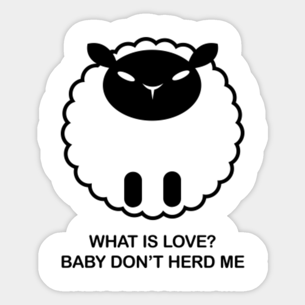 What Is Love Baby Don T Herd Me Funny Cute Sheep Quote Sheep Quote Sticker Teepublic Uk