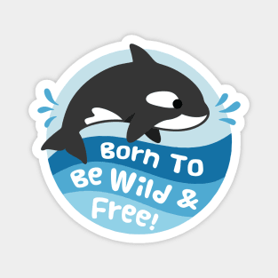 Cute Orca, Born To Be Wild And Free Magnet