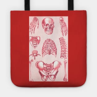 Poor Man's X-Ray Red Skeleton Tote