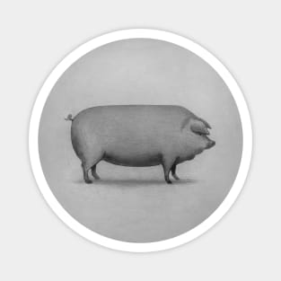 Perfect Pig circle Magnet