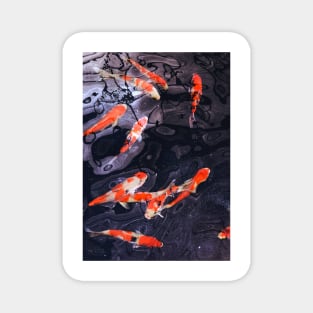 Koi Fish Galaxy Magnet