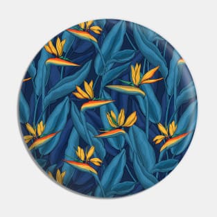 Night bird of paradise garden 2 Pin