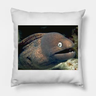 Bad Joke Eel Meme Pillow