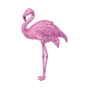 Pink Flamingo T-Shirt