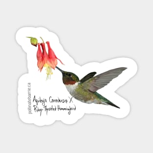 Ruby-Throated Hummingbird X Aquilegia Canadensis Magnet