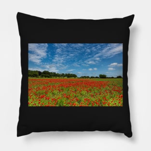 County Durham Poppies Pillow