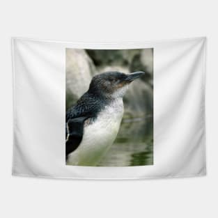 Little Penguin Tapestry