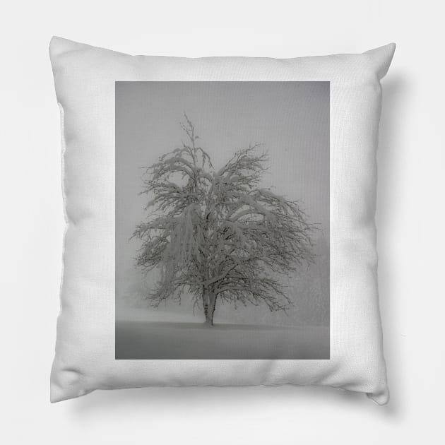 Lone tree in the snow Pillow by mbangert