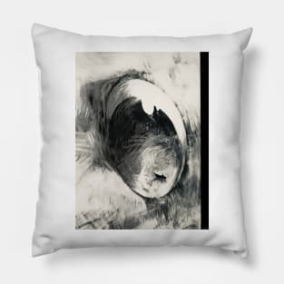 The eye of the old man and the sea Pillow