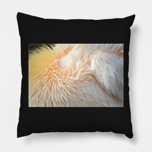 Feather Abstract Pillow