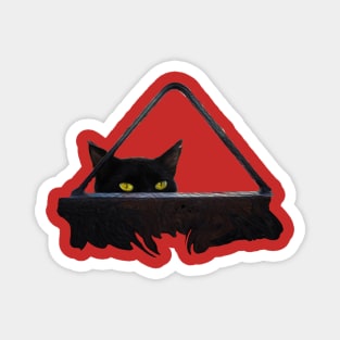 cat at the door Magnet