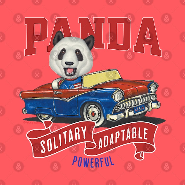 Funny and Cute Panda driving a vintage classic car to a parade with red white and blue flags by Danny Gordon Art