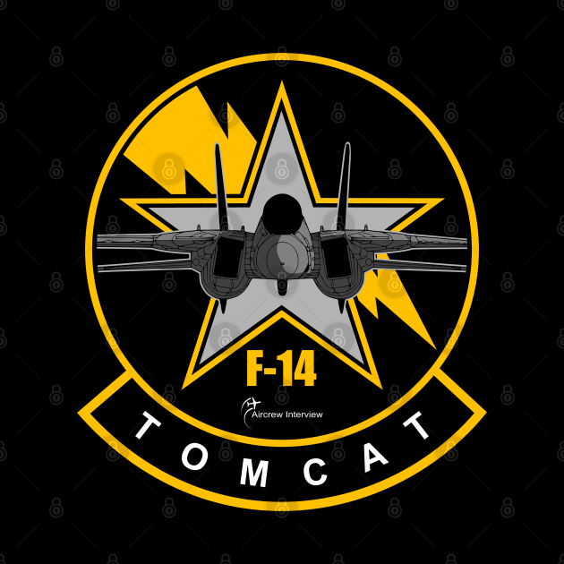 F-14 Tomcat by Aircrew Interview