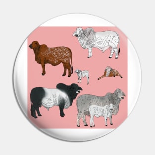 Brahman Cattle Pink Pin