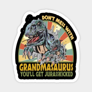 Funny t shirt for Dad, Brother, Boyfriend don't mess with mamasaurus you'll get jurasskicked T-shirt Magnet