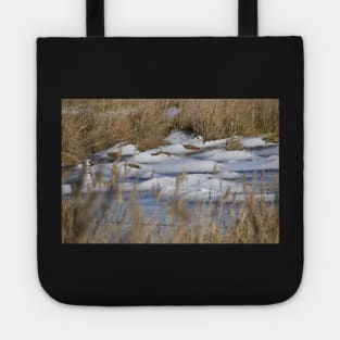 Frozen Pond Tote