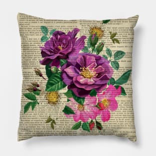 Botanical print, on old book page - dog rose Pillow