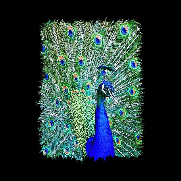 peacock - 9 by THAM SINGGIH