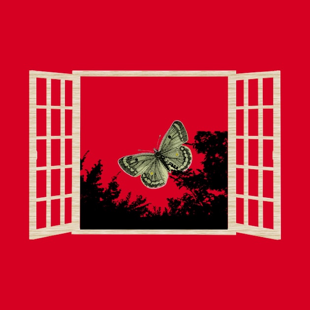 Butterfly Window Frame, Art Image Butterfly by Island Chef2