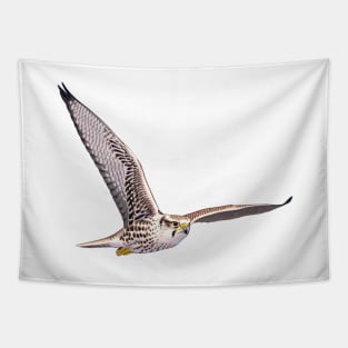 Saker Falcon Tapestry