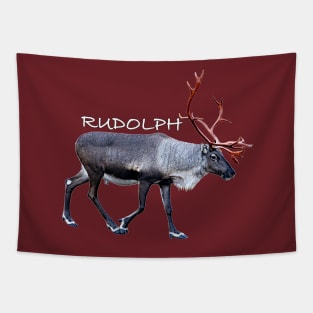 Rudolph Tapestry