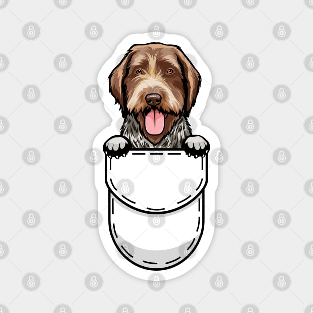 Funny Wirehaired Pointing Griffon Pocket Dog Magnet by Pet My Dog