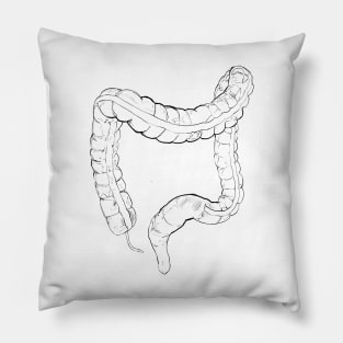 Colon Pillow