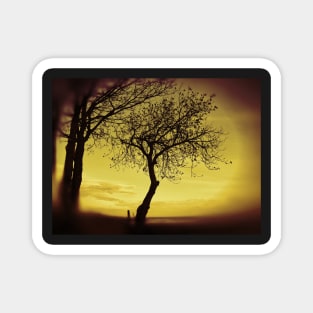 Morning Tree Silhouette Magnet