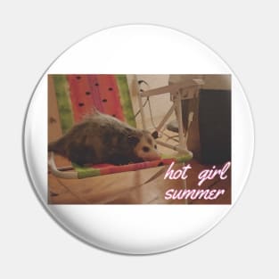 hot girl summer possum edition Pin