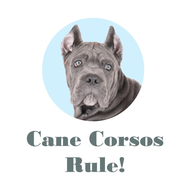 Cane Corsos Rule! by Naves