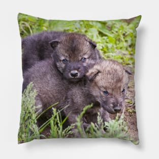 Gray Wolf Pups Pillow