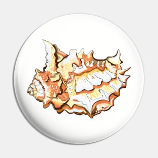 Seashell Pin