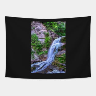 Ithaca NY Robert H. Treman State Park Flowing Water Tapestry