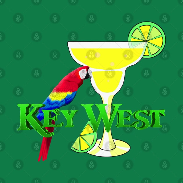 Key West Margarita Parrot by macdonaldcreativestudios