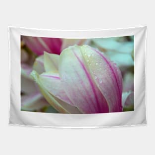 Rain on Magnolia Tapestry