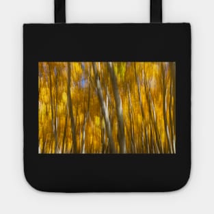 Fall Abstract III Tote